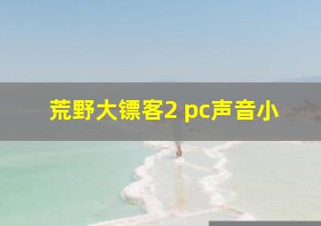 荒野大镖客2 pc声音小